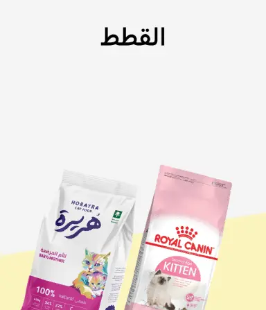 الحيوانات الأليفة