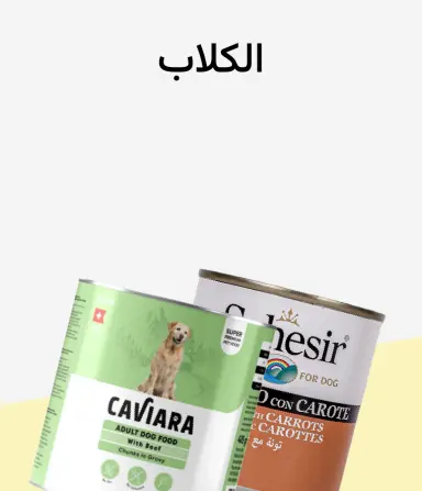 الحيوانات الأليفة