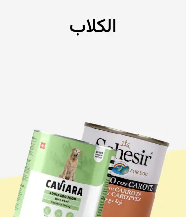 كلاب