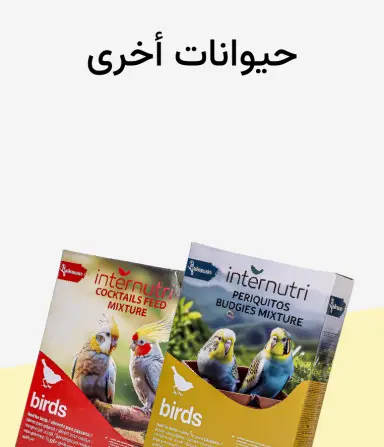 حيوانات أليفة أخرى
